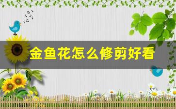 金鱼花怎么修剪好看_金鱼花怎么修剪枝叶